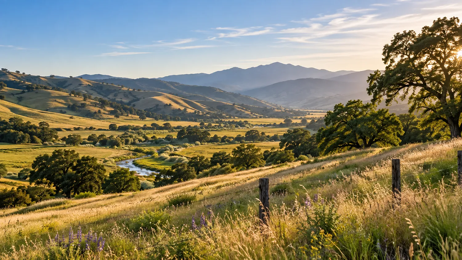 Conservation Land Appraisals California